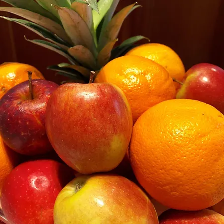 卡热Ssa健身酒店 酒店 3*